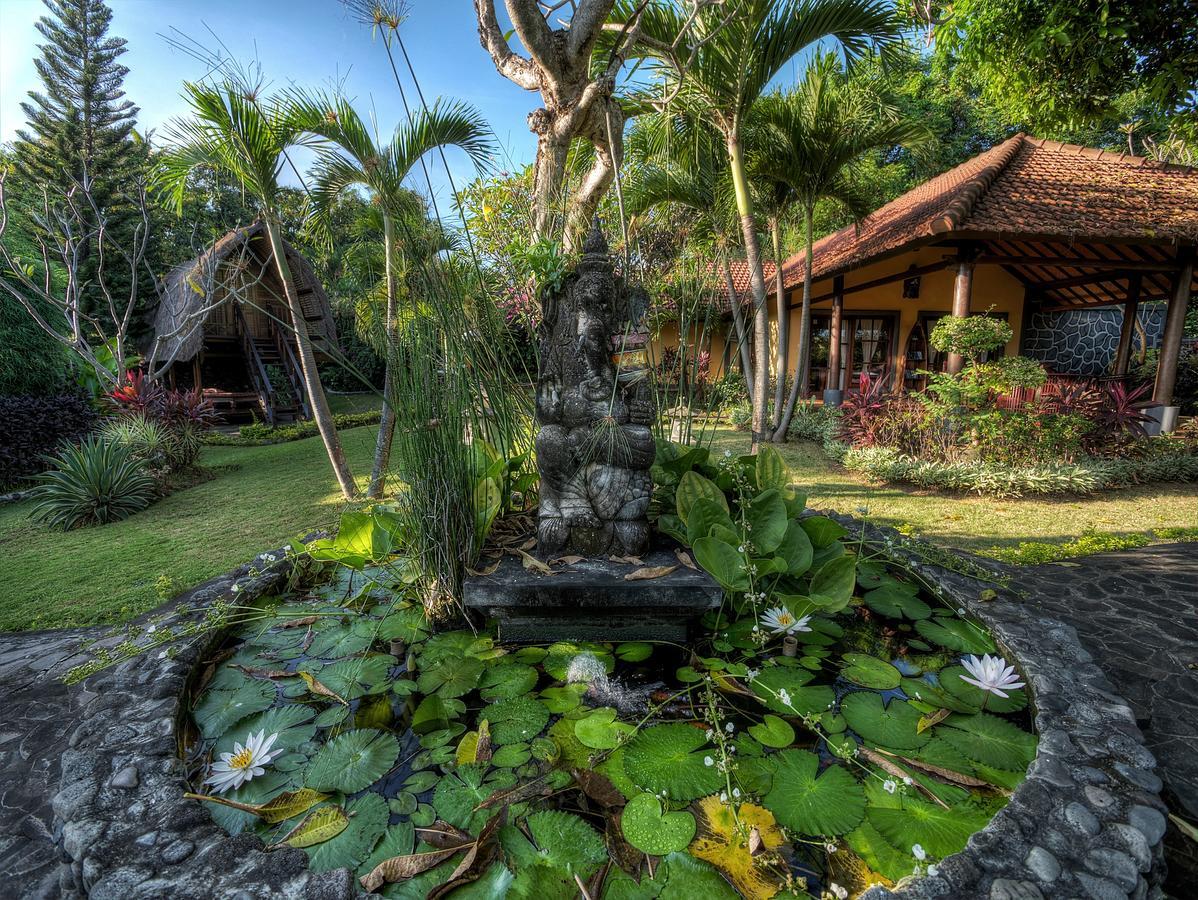 Puri Mangga Sea View Resort And Spa Lovina Exteriör bild