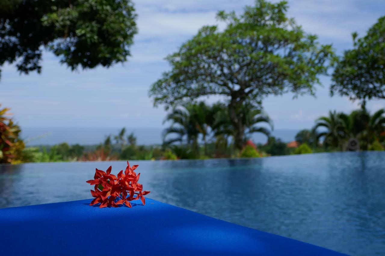 Puri Mangga Sea View Resort And Spa Lovina Exteriör bild